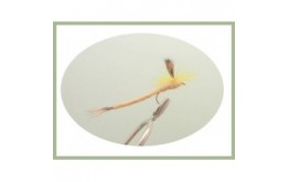 Mayfly Parachute Patterned