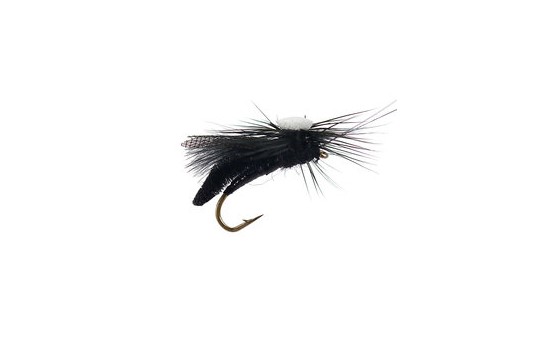 Overleys Headlight Caddis Black