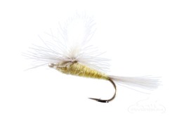 Pale Morning Dun Parachute