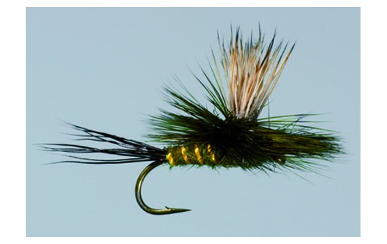 Para Wulff Green Drake