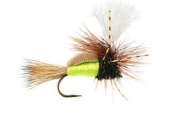 Para Humpy Royal Yellow