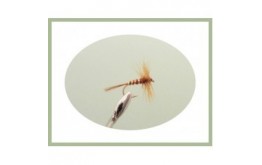 Hackled Brown Midge