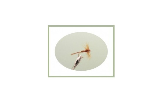 Hackled Brown Midge