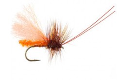 Slickwater Caddis October