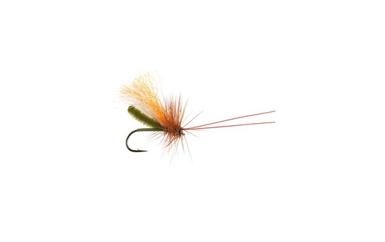 Slickwater Caddis Olive