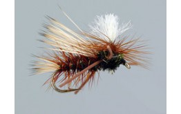 Swishers PMX Peacock