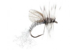 CDC Winged Emerger Grey Drake