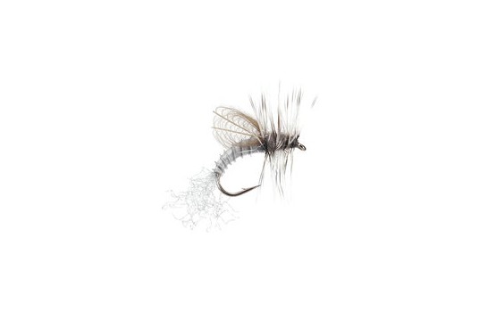 CDC Winged Emerger Grey Drake