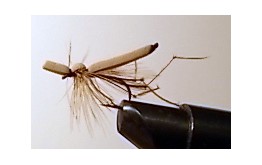 DADDY LONG LEGS FOAM BODY TAN Dry