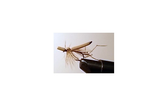 DADDY LONG LEGS FOAM BODY TAN Dry