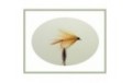 Hackled Mayfly Dabbler