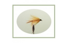 Hackled Mayfly Dabbler