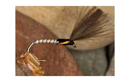 HD Light Natural Suspender