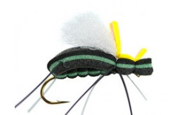 Mauro Raspinis Escarabajo Green