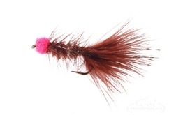 Leech Egg Sucking Brown