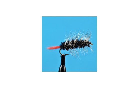Woolly Worm Black