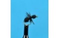 Black Ant