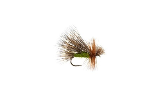 Hairwing Caddis