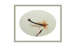 Detached Daddy Long Legs Black