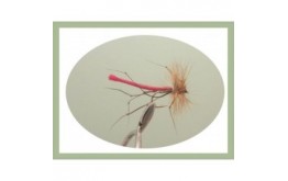 Detached Daddy Long Legs Red