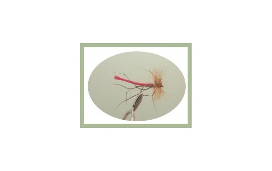 Detached Daddy Long Legs Red