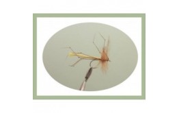Detached Daddy Long Legs Yellow