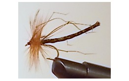 DETACHED DADDY LONG LEGS BLACK Dry