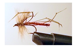 DETACHED DADDY LONG LEGS RED Dry