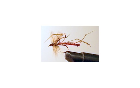 DETACHED DADDY LONG LEGS RED Dry