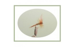 Hares Ear Dry Fly