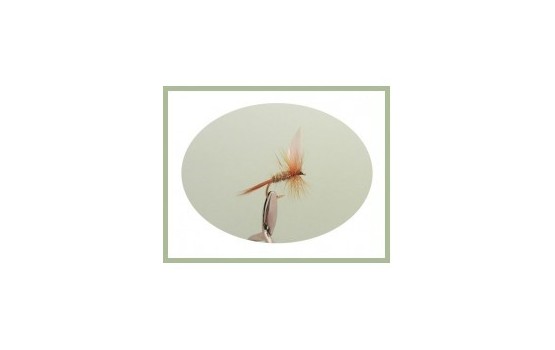 Hares Ear Dry Fly