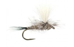 Hares Ear Parachute Superb