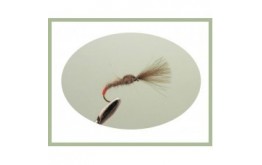 Hares Ear Shuttlecock