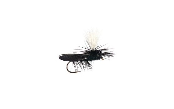 High Vis Black Caddis