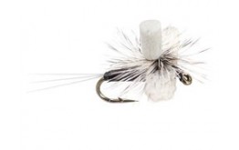 Indicator Spinner Trico