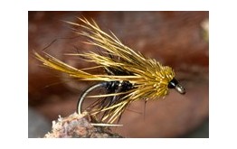 Kate McLaren Muddler