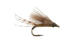 Kiochis CDC Baetis Dun