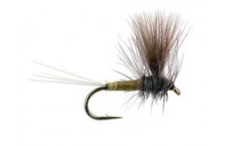 Kiochis CDC Thorax Flav