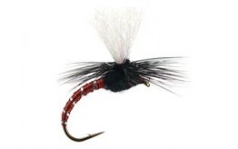 Klinkhammer Brown Black