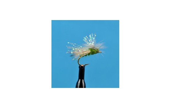 Krystal Caddis Olive