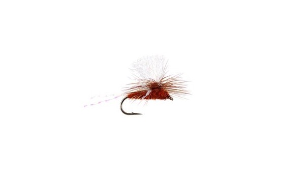 Krystal Wing Para Spinner Rusty