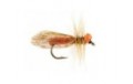 Light Caddis