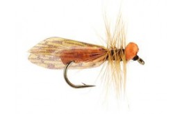 Light Caddis