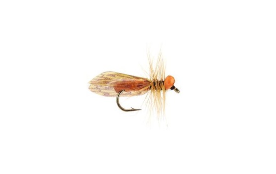 Light Caddis