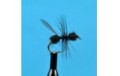 Black Flying Ant