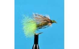 Little Green Caddis Pupa