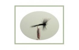 Black Gnat Dry Fly