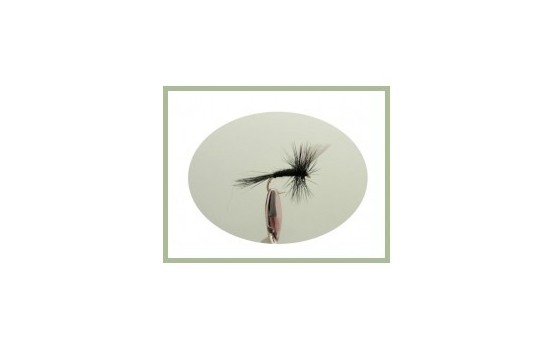 Black Gnat Dry Fly