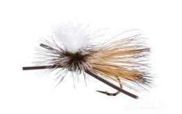 Madam X Parachute Olive