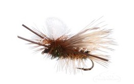 Madam X Parachute Peacock